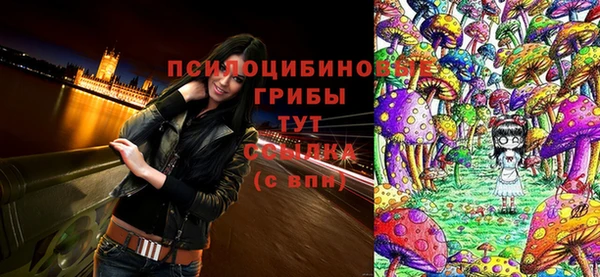 стаф Богородицк