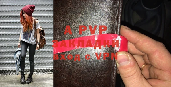 ПСИЛОЦИБИНОВЫЕ ГРИБЫ Богданович