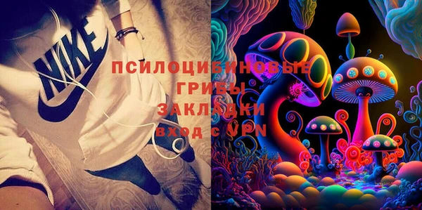 ПСИЛОЦИБИНОВЫЕ ГРИБЫ Богданович