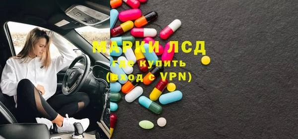 ПСИЛОЦИБИНОВЫЕ ГРИБЫ Богданович
