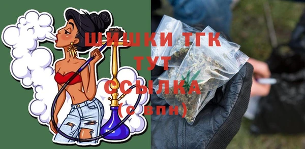 крисы Богородск