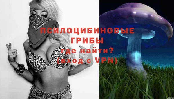 ПСИЛОЦИБИНОВЫЕ ГРИБЫ Богданович